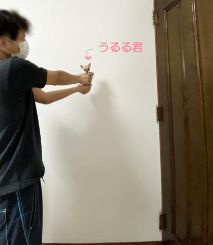 小さすぎてビックリ！！