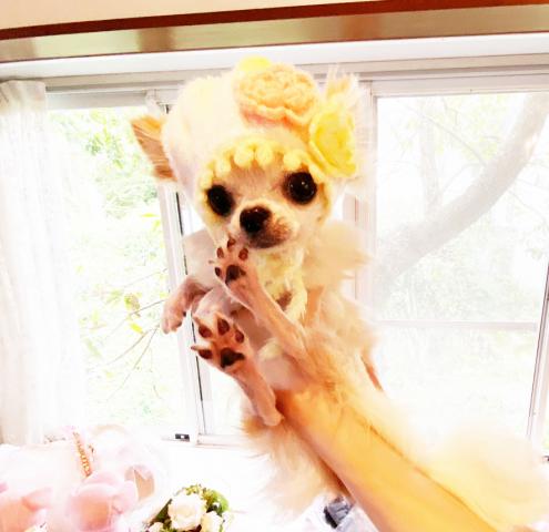 極上！！極小！！レオ君♪