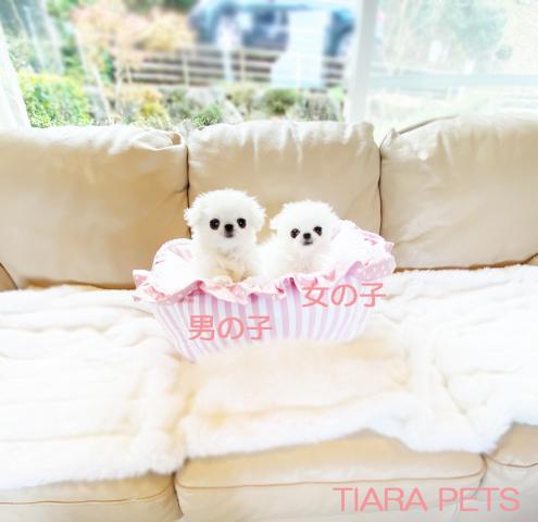 ★可愛い女の子★