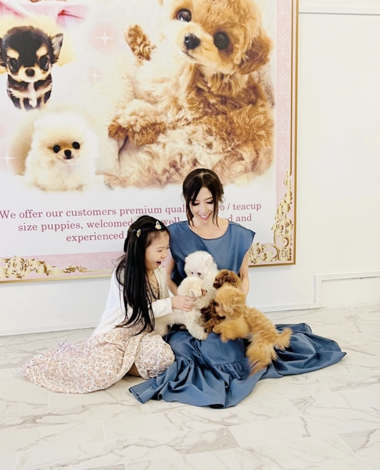 極小・ティーカップの子犬と出会い